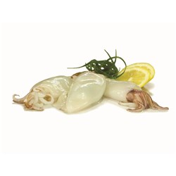 A&T TRADING U/10 WHOLE CLEANED SQUID 1KG