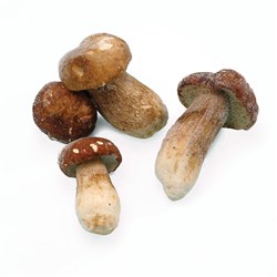 BORDE FROZEN PORCINI MUSHROOM 1KG