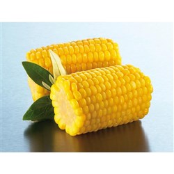 EDGELL SUPER SWEET CORN COBETTES 50's