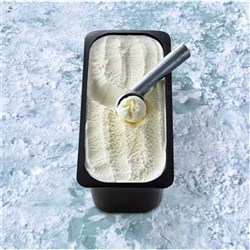 GOLD LABEL VANILLA ICE CREAM 5LT