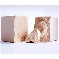 FERMEX FRESH COMPRESSED YEAST 1KG