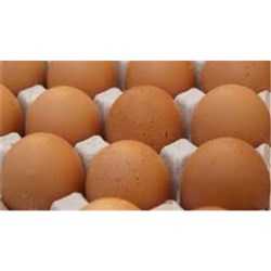 SUNRISE EGGS EGGS FILLER 500GM CAGED 15 DOZ