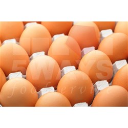 SUNRISE EGGS EGGS 49GM 15 DOZ