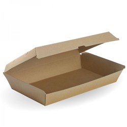 PAK CORRUGATED KRAFT FAMILY BOX 100's (290MM X 180MM X 80MM)