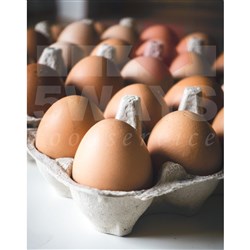 SUNRISE EGGS 59GM FREE RANGE 15 DOZ