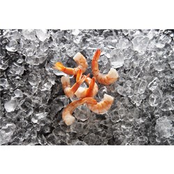 TOPSAIL 21/25 COOKED PRAWN CUTLET 1KG