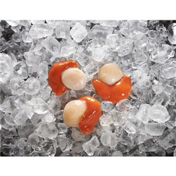 TOPSAIL 20/30 ROE ON SCALLOP 1KG