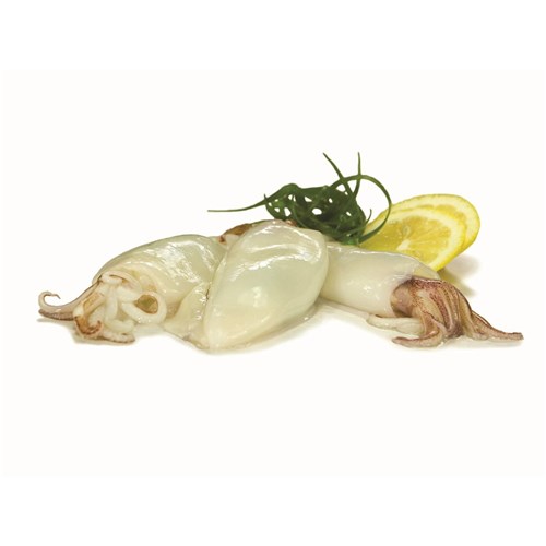 A&T TRADING U/10 WHOLE CLEANED SQUID 1KG