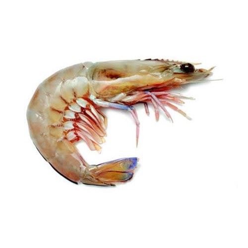 KAILIS BROS WHOLE RAW KING PRAWNS 1 X 5KG
