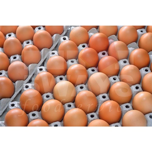 SUNRISE EGGS LARGE 55GM FILLER EGGS 15 DOZ