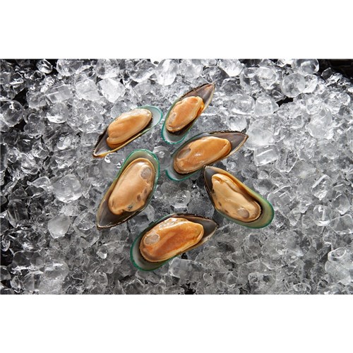 SANFORD MEDIUM HALF SHELL MUSSEL 1KG