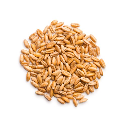 CHEFMASTER SPELT GRAIN 1KG